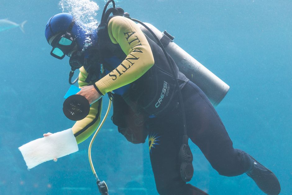 A scuba diver cleans the Atlantis aquarium exhibit with specialized equipment underwater.